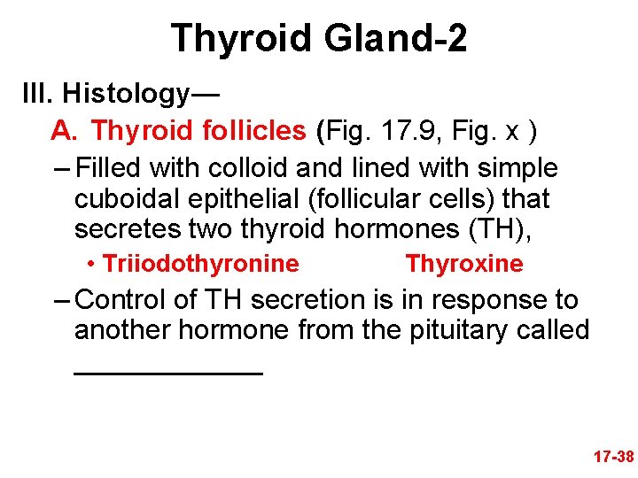 Thyroid Gland-2 III. Histology— A. Thyroid follicles (Fig. 17. 9, Fig. x ) –