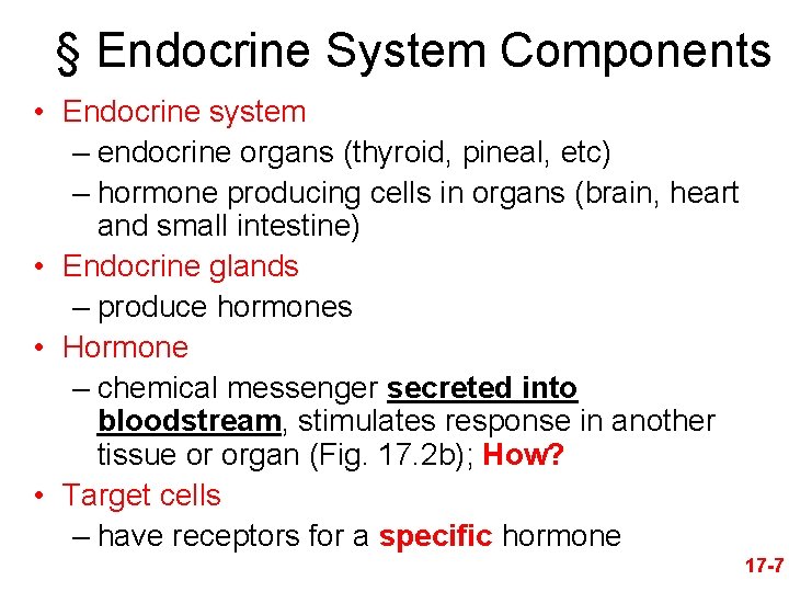 § Endocrine System Components • Endocrine system – endocrine organs (thyroid, pineal, etc) –