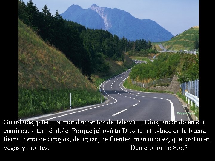Guardarás, pues, los mandamientos de Jehová tu Dios, andando en sus caminos, y temiéndole.