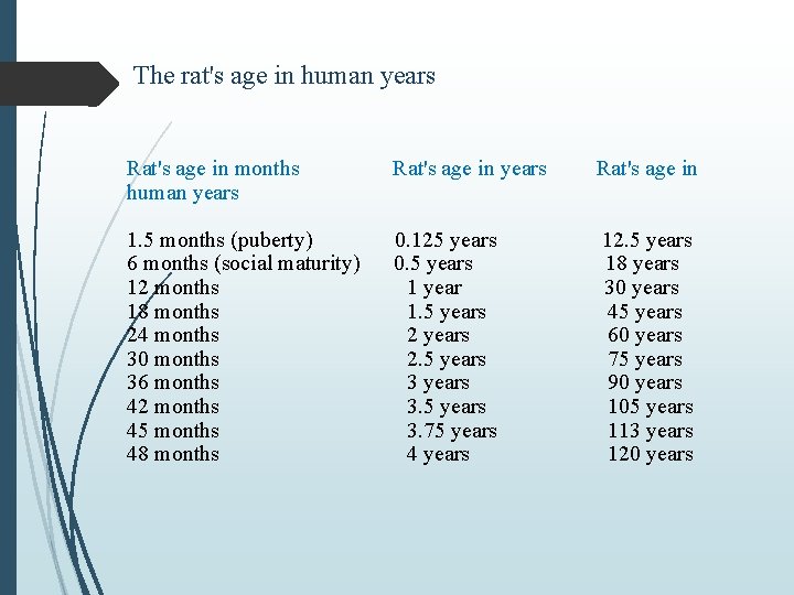 The rat's age in human years Rat's age in months Rat's age in years