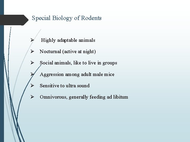 Special Biology of Rodents Ø Highly adaptable animals Ø Nocturnal (active at night) Ø