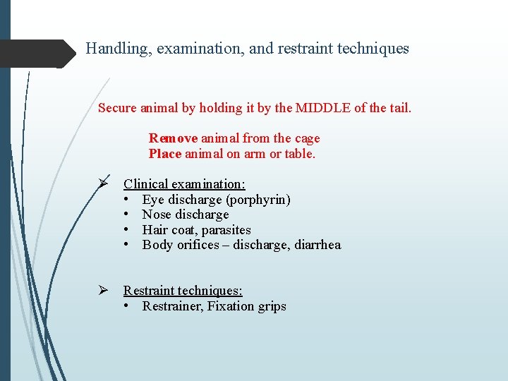 Handling, examination, and restraint techniques Secure animal by holding it by the MIDDLE of