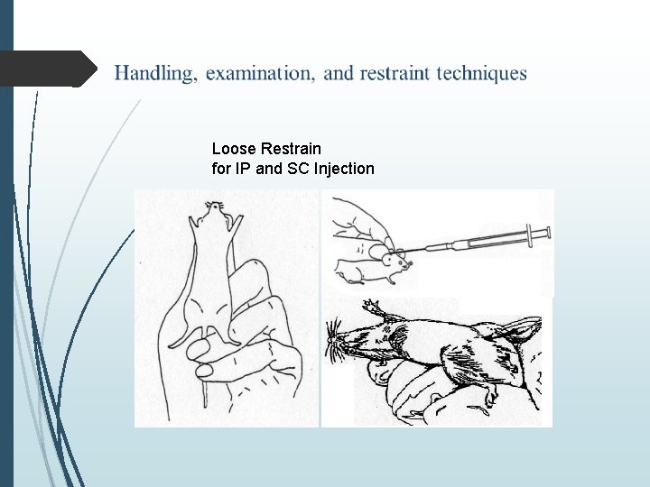 Loose Restrain for IP and SC Injection 