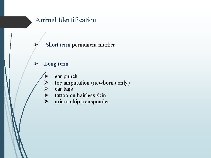 Animal Identification Ø Short term permanent marker Ø Long term Ø Ø Ø ear