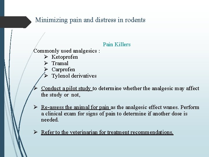 Minimizing pain and distress in rodents Commonly used analgesics : Ø Ketoprofen Ø Tramal