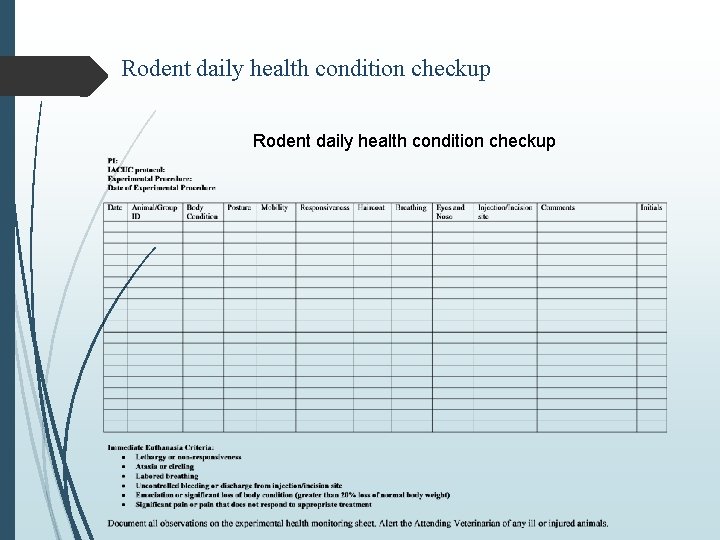 Rodent daily health condition checkup 