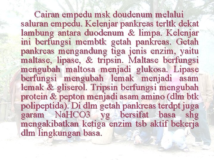 Cairan empedu msk doudenum melalui saluran empedu. Kelenjar pankreas terltk dekat lambung antara duodenum