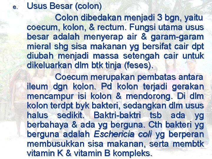 e. Usus Besar (colon) Colon dibedakan menjadi 3 bgn, yaitu coecum, kolon, & rectum.