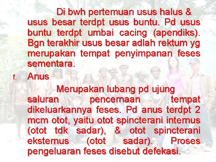 f. Di bwh pertemuan usus halus & usus besar terdpt usus buntu. Pd usus