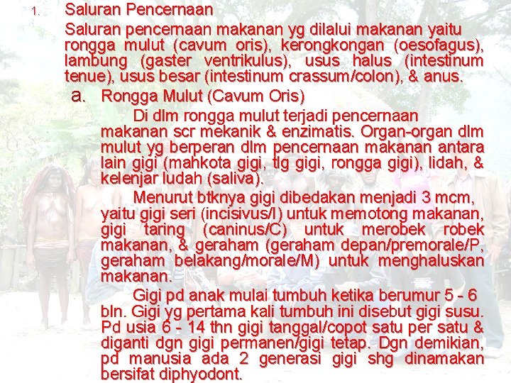 1. Saluran Pencernaan Saluran pencernaan makanan yg dilalui makanan yaitu rongga mulut (cavum oris),