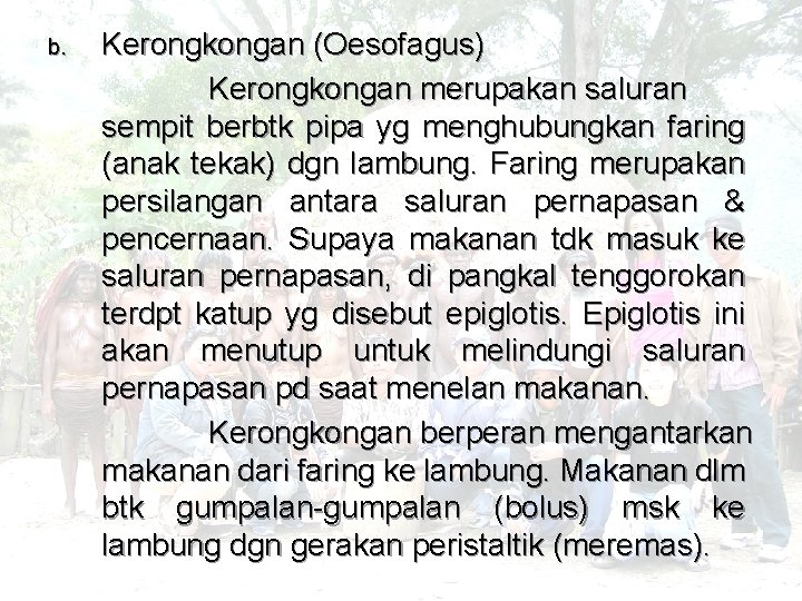 b. Kerongkongan (Oesofagus) Kerongkongan merupakan saluran sempit berbtk pipa yg menghubungkan faring (anak tekak)