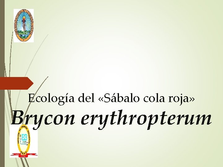 Ecología del «Sábalo cola roja» Brycon erythropterum 