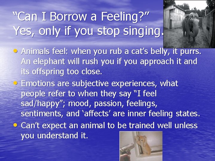 “Can I Borrow a Feeling? ” Yes, only if you stop singing. • Animals