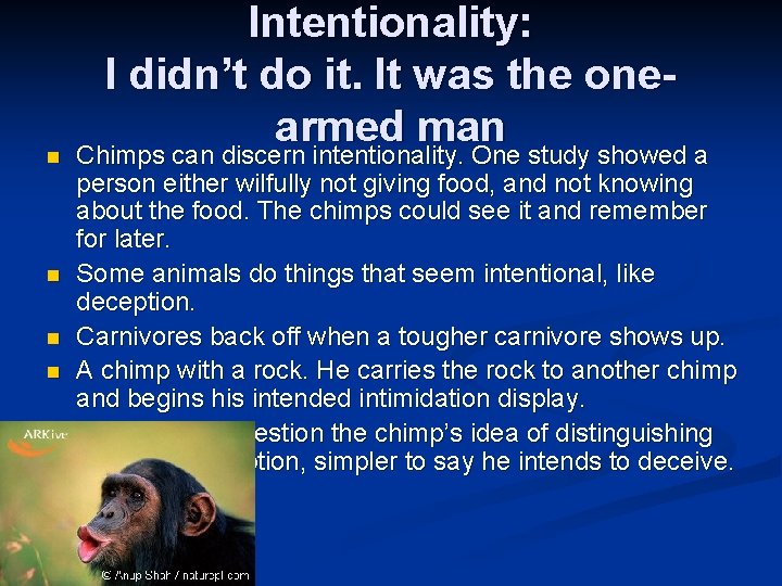 n n n Intentionality: I didn’t do it. It was the onearmed man Chimps