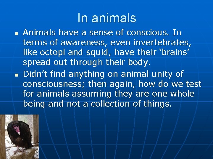 In animals n n Animals have a sense of conscious. In terms of awareness,