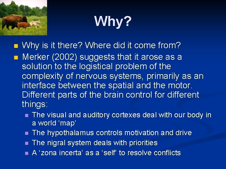 Why? n n Why is it there? Where did it come from? Merker (2002)