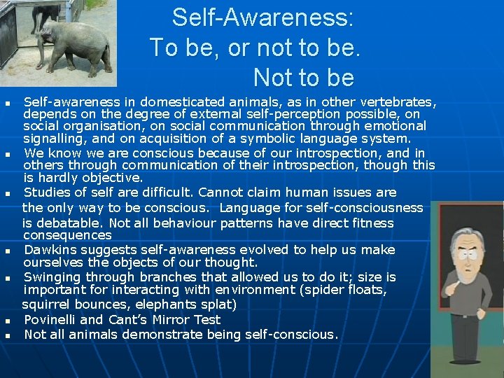 Self-Awareness: To be, or not to be. Not to be n n n n