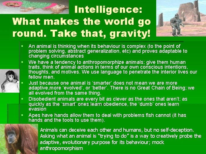 Intelligence: What makes the world go round. Take that, gravity! § An animal is