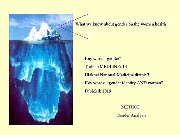 What we know about gender on the women health Key word: “gender” Turkish MEDLINE: