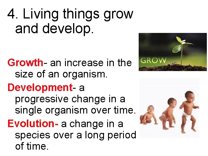 4. Living things grow and develop. Growth- an increase in the size of an