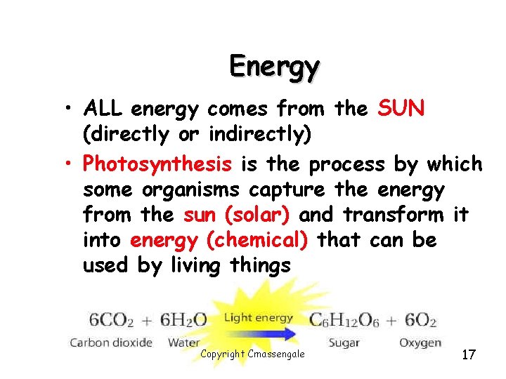 Energy • ALL energy comes from the SUN (directly or indirectly) • Photosynthesis is Energy • ALL energy comes from the SUN (directly or indirectly) • Photosynthesis is