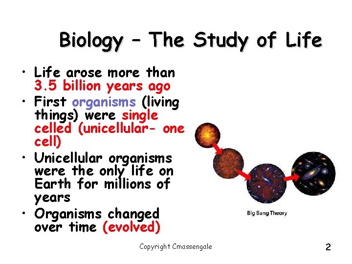 Biology – The Study of Life • Life arose more than 3. 5 billion