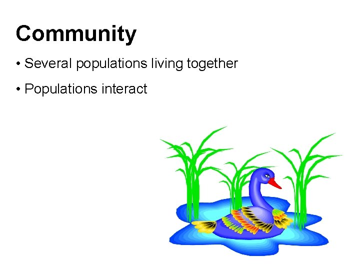 Community • Several populations living together • Populations interact Community • Several populations living together • Populations interact
