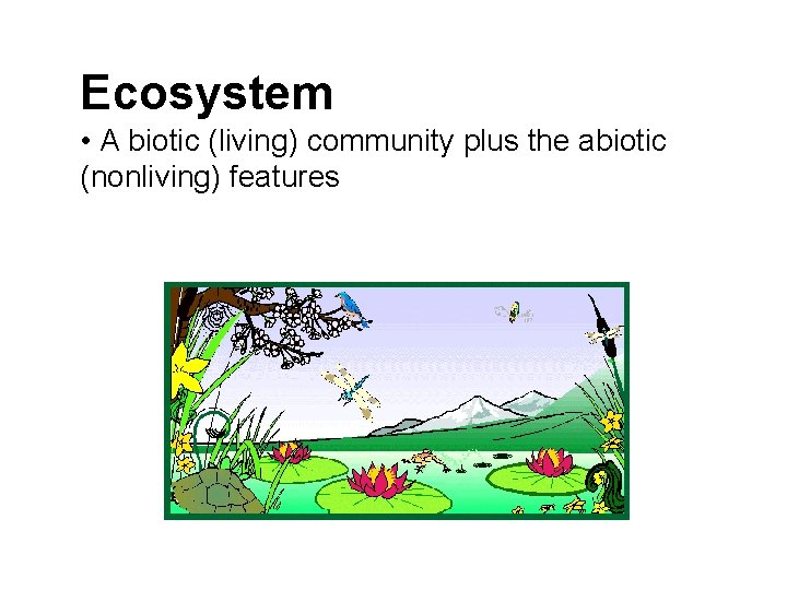 Ecosystem • A biotic (living) community plus the abiotic (nonliving) features Ecosystem • A biotic (living) community plus the abiotic (nonliving) features