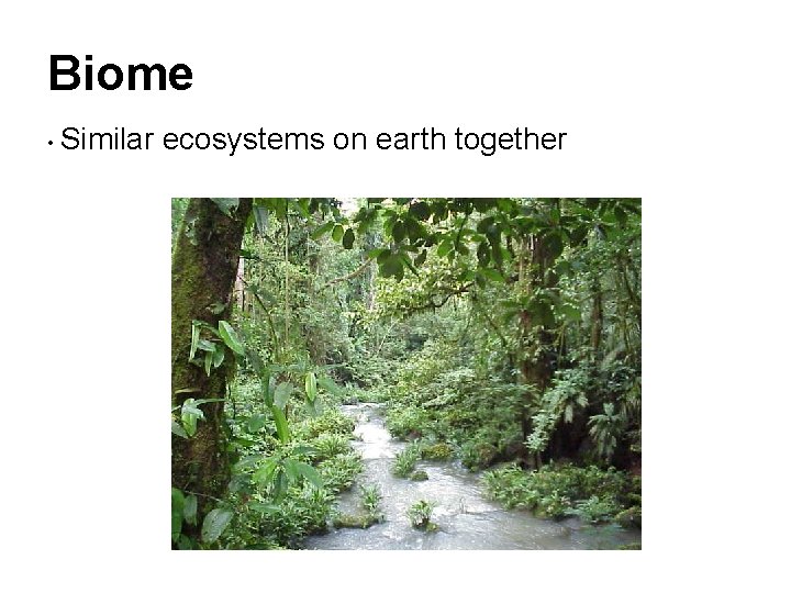 Biome • Similar ecosystems on earth together Biome • Similar ecosystems on earth together