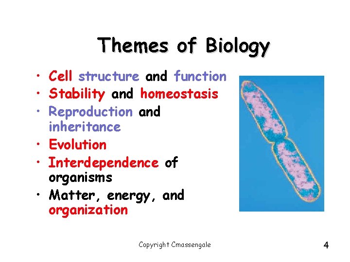 Themes of Biology • Cell structure and function • Stability and homeostasis • Reproduction