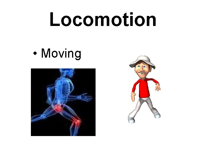 Locomotion • Moving Locomotion • Moving