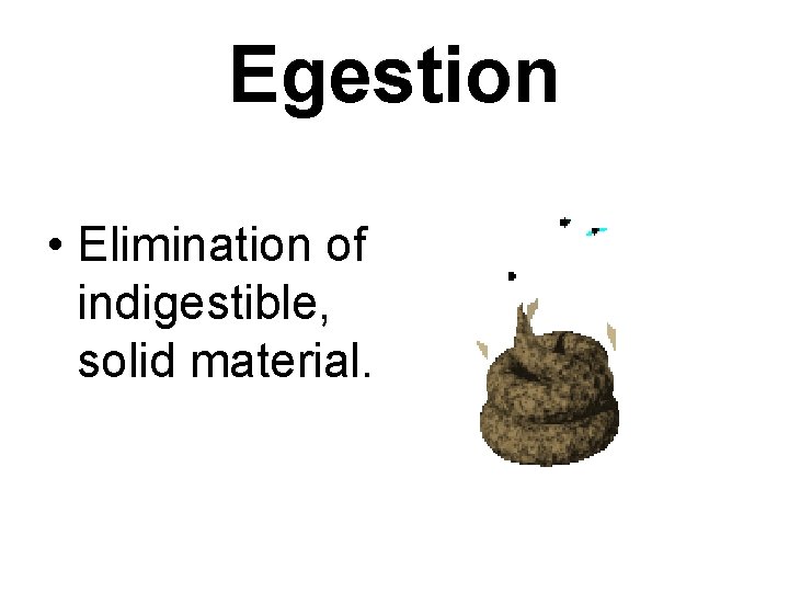 Egestion • Elimination of indigestible, solid material. Egestion • Elimination of indigestible, solid material.