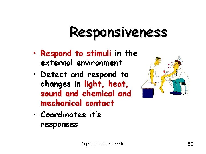 Responsiveness • Respond to stimuli in the external environment • Detect and respond to Responsiveness • Respond to stimuli in the external environment • Detect and respond to