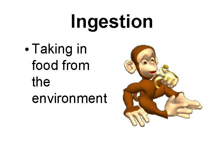 Ingestion • Taking in food from the environment 