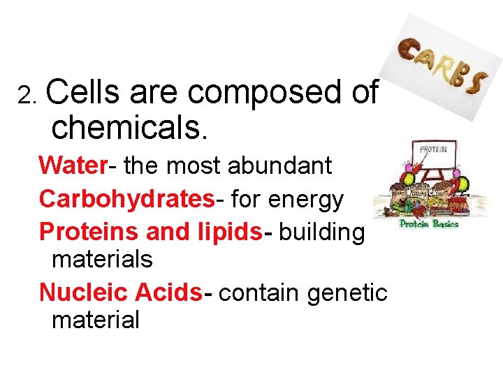 2. Cells are composed of chemicals. Water- the most abundant Carbohydrates- for energy Proteins 2. Cells are composed of chemicals. Water- the most abundant Carbohydrates- for energy Proteins