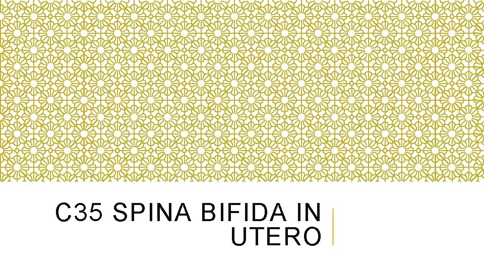 C 35 SPINA BIFIDA IN UTERO 