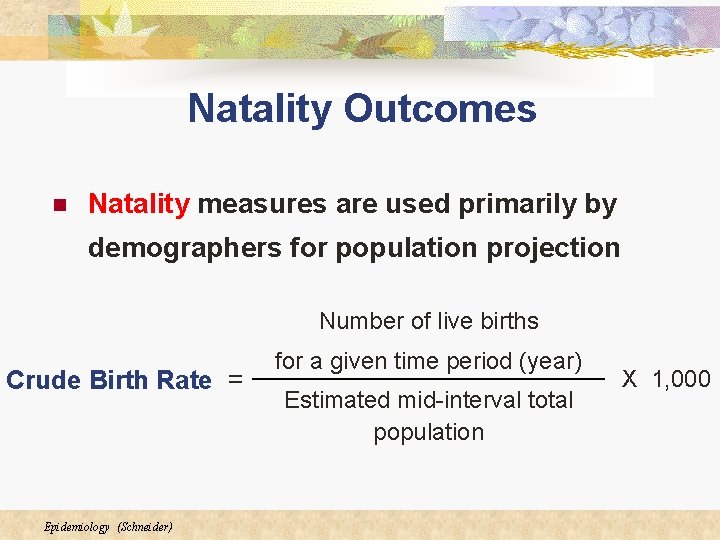 Natality Outcomes n Natality measures are used primarily by demographers for population projection Number Natality Outcomes n Natality measures are used primarily by demographers for population projection Number