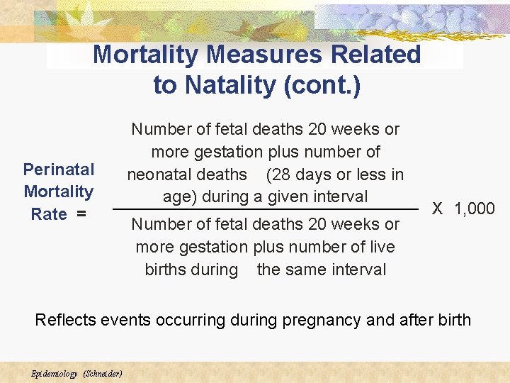 Mortality Measures Related to Natality (cont. ) Perinatal Mortality Rate = Number of fetal Mortality Measures Related to Natality (cont. ) Perinatal Mortality Rate = Number of fetal