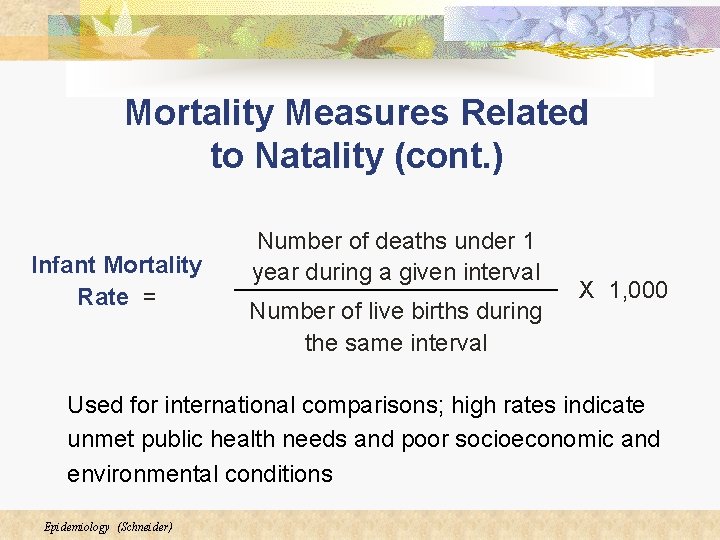 Mortality Measures Related to Natality (cont. ) Infant Mortality Rate = Number of deaths Mortality Measures Related to Natality (cont. ) Infant Mortality Rate = Number of deaths