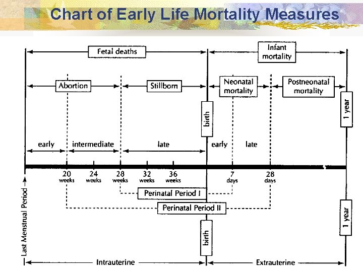 Chart of Early Life Mortality Measures Epidemiology (Schneider) Chart of Early Life Mortality Measures Epidemiology (Schneider)
