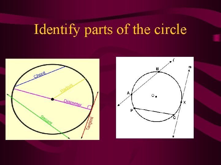 Identify parts of the circle 