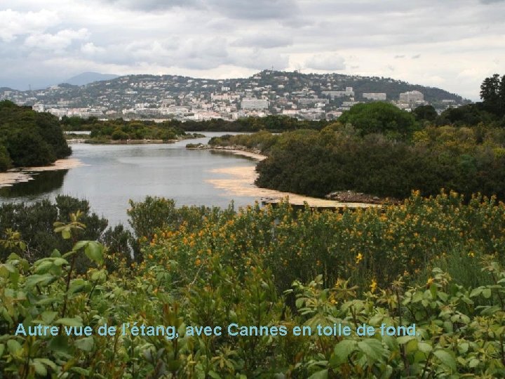 Autre vue de l’étang, avec Cannes en toile de fond. 