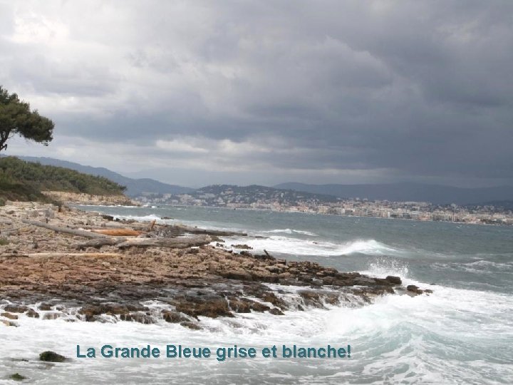 La Grande Bleue grise et blanche! 