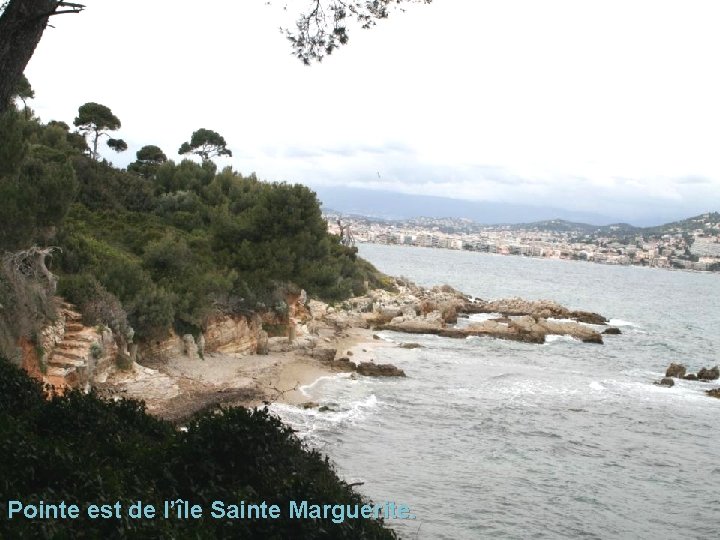 Pointe est de l’île Sainte Marguerite. 