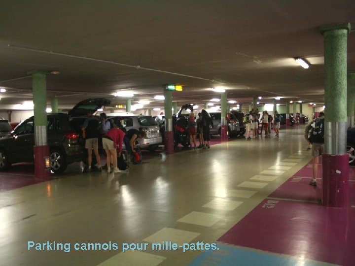 Parking cannois pour mille-pattes. 