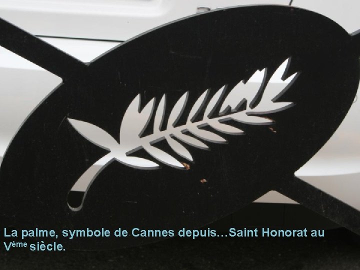 La palme, symbole de Cannes depuis…Saint Honorat au Vème siècle. 