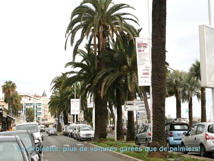 La Croisette: plus de voitures garées que de palmiers! 