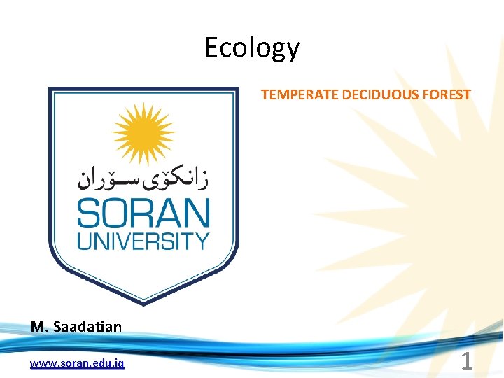 Ecology TEMPERATE DECIDUOUS FOREST M. Saadatian www. soran. edu. iq 1 Ecology TEMPERATE DECIDUOUS FOREST M. Saadatian www. soran. edu. iq 1