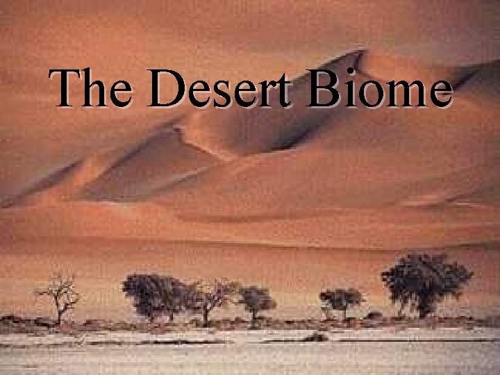 The Desert Biome www. soran. edu. iq The Desert Biome www. soran. edu. iq