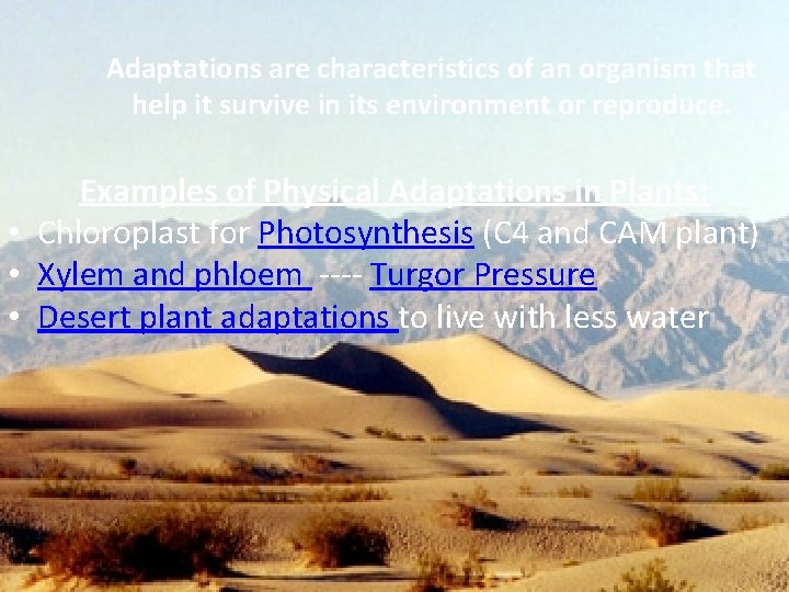 Adaptations are characteristics of an organism that help it survive in its environment or Adaptations are characteristics of an organism that help it survive in its environment or